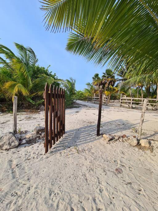 Casa Perla Marina, Pequena Casa Frente A La Playa. Lägenhet El Cuyo Exteriör bild